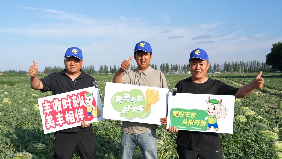 美豐肥助力硒砂瓜畝產(chǎn)過(guò)萬(wàn)斤