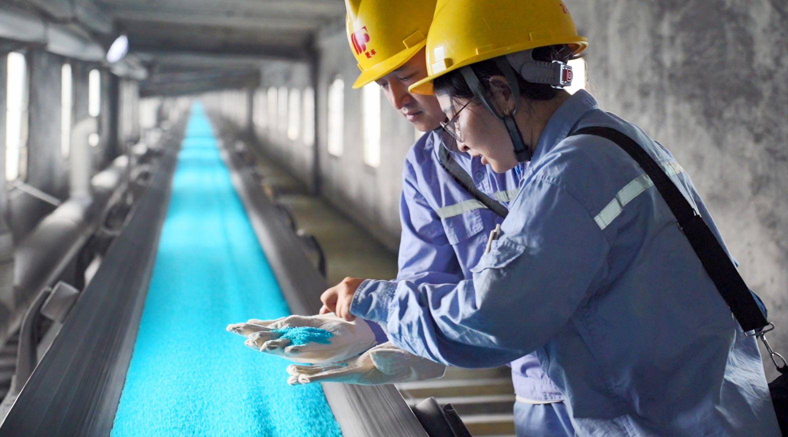 致匠心：十年磨出“豐收藍(lán)”